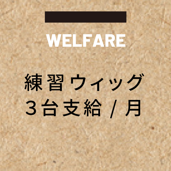 練習ウィッグ3台支給/月